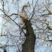 2018-02-13-11-26-001