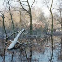 2018-02-13-11-26-002