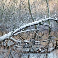 2018-02-13-11-26-003