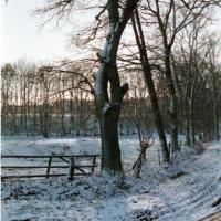 2018-02-13-11-30-005