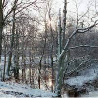 2018-02-13-11-34-004