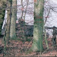 2018-02-13-11-38-001