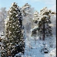 2018-02-13-11-41-001