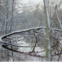 2018-02-13-11-44-002