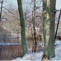 2018-02-13-11-44-003