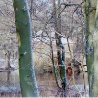 2018-02-13-11-44-004