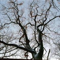 2018-02-13-11-58-006