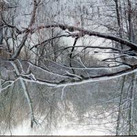 2018-02-13-12-17-005