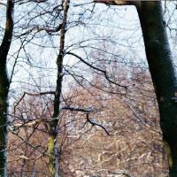 2018-02-13-12-28-001