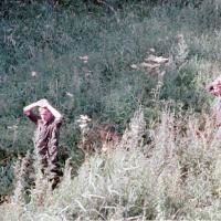 2018-02-13-12-37-003