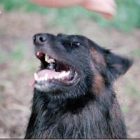 2018-02-13-13-32-002