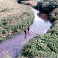 2018-02-13-13-48-001