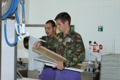 200 jaar Boreel (Dennis) (439)