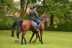 200 jaar Boreel (Sanne) (51)