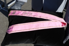 Integratie OTK, 43Mechbrig, 1 Panzerdivision 17-03-2016 (11)