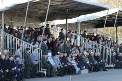 Integratie OTK, 43Mechbrig, 1 Panzerdivision 17-03-2016 (298)