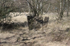 DUTCHRECON 01-04-2016 (49)