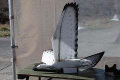 DUTCHRECON 01-04-2016 (72)