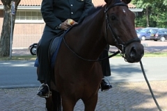 36 jaar Mike 08-09-2016 (208)