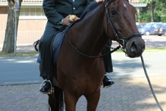 36 jaar Mike 08-09-2016 (211)