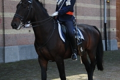 Prinsjesdag 2017 068