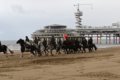 Prinsjesdag 2017 093