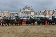 Prinsjesdag 2017 100