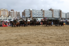 Prinsjesdag 2017 101