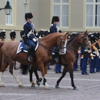 Geloofsbrieven Irak en Armenié div 11-04-2018 (75)