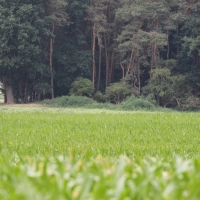 Zilveren Kijker 26-06-2018 (234)