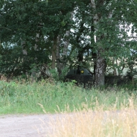 Zilveren Kijker 26-06-2018 (236)