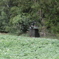 Zilveren Kijker 26-06-2018 (243)
