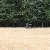 Zilveren Kijker 26-06-2018 (253)