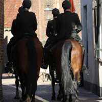 Beëdiging RHB 13-09-2018 (715)