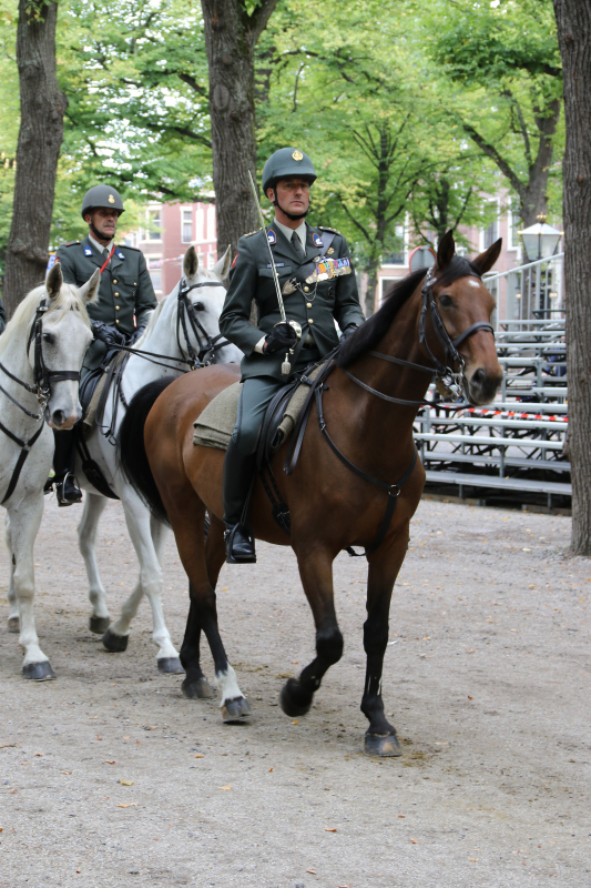 Beëdiging RHB 16-09-2018 (14)