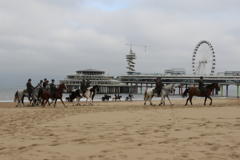 CEE strand 17-09-2018 (19)
