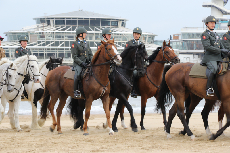 CEE strand 17-09-2018 (28)