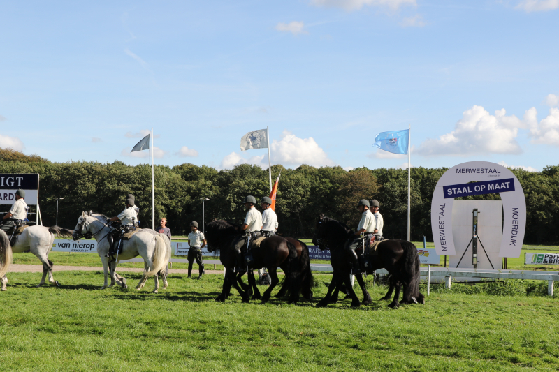 Oefening Duindigt 15-09-2018 (838)