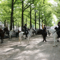 Beëdiging RHB 16-09-2018 (107)