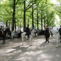 Beëdiging RHB 16-09-2018 (111)