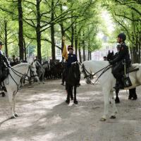 Beëdiging RHB 16-09-2018 (119)