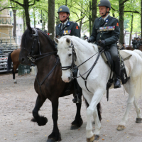 Beëdiging RHB 16-09-2018 (181)