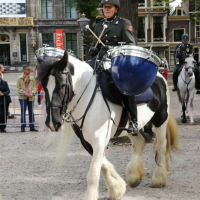 Beëdiging RHB 16-09-2018 (234)