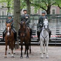 Beëdiging RHB 16-09-2018 (33)