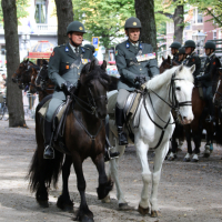 Beëdiging RHB 16-09-2018 (69)