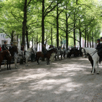 Beëdiging RHB 16-09-2018 (81)