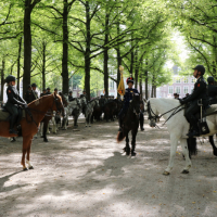 Beëdiging RHB 16-09-2018 (93)