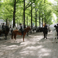 Beëdiging RHB 16-09-2018 (98)