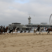 CEE strand 17-09-2018 (19)