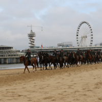 CEE strand 17-09-2018 (287)